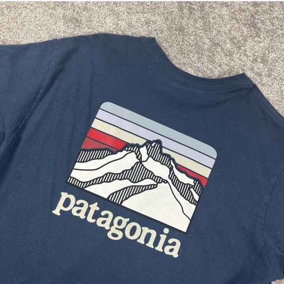 Patagonia Other - Patagonia Blue Short Sleeve Tee with Mountain Graphic